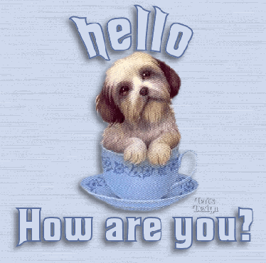 Hello-35.gif image by Euler5853