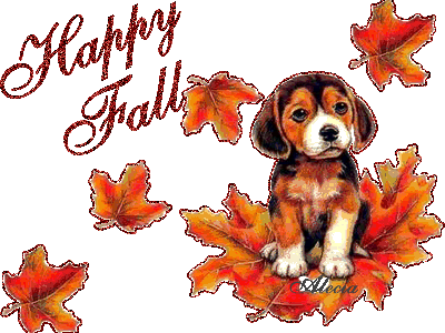 Fall.gif image by Euler5853
